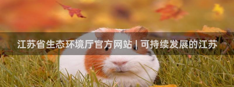 jdb电子试玩2000网站官网
