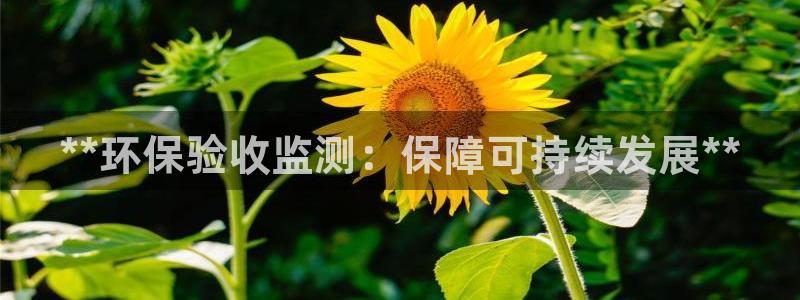 jdb五龙捕鱼哪个平台好