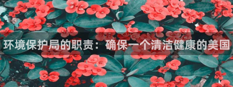 jdb金鸡报喜技巧