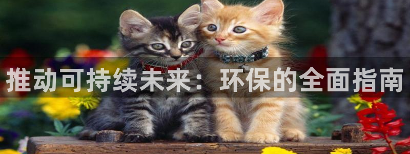 jdb平台是哪个公司