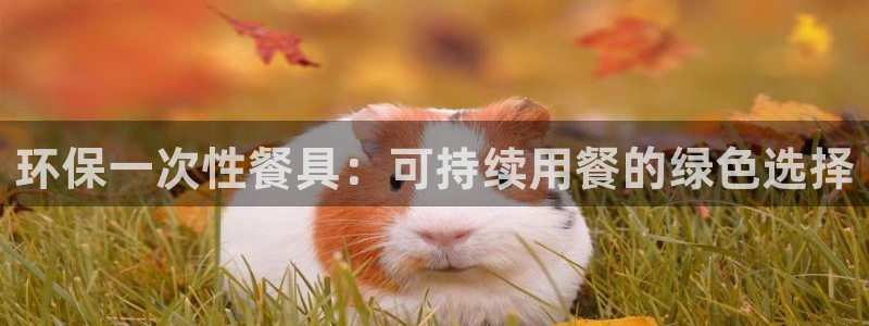 jdb电子网站