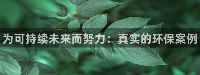 jdb试玩2000金币网址是多少