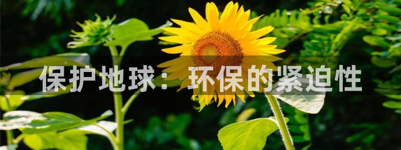 jdb富豪哥技巧