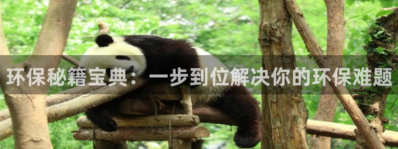 夺宝jdb电子变脸