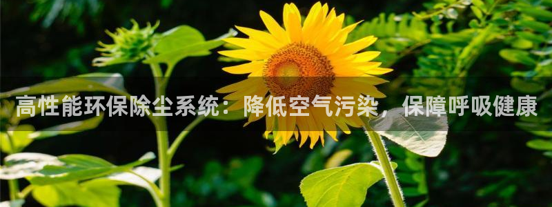 jdb游戏玩哪个