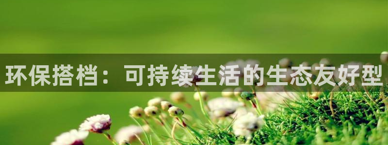jdb游戏玩哪个