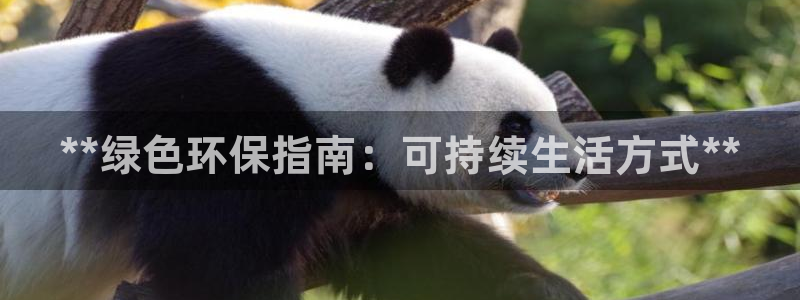 jdb电子游戏雷神之锤大奖视频