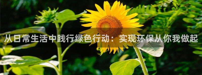 jdb电子游戏可以玩吗