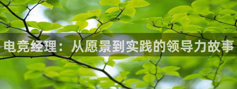 一竞技网址