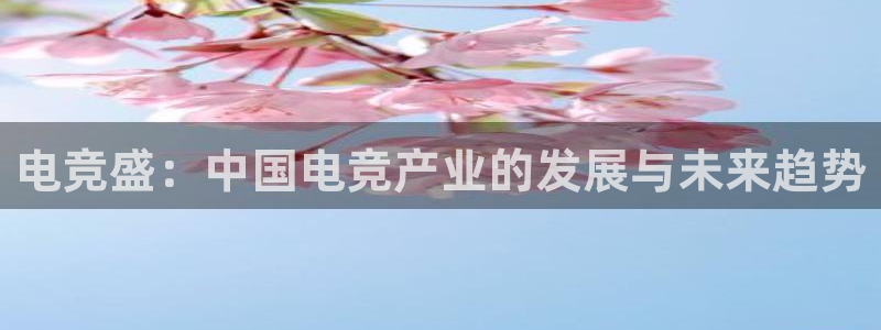 一竞技官网